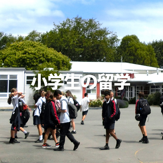 小学生の留学